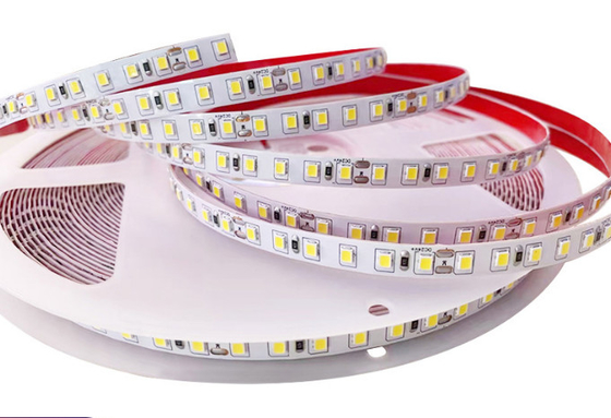 Tiras flexíveis impermeáveis do diodo emissor de luz de IP68 SMD 2835 diodos emissores de luz 220V 110 de alta tensão